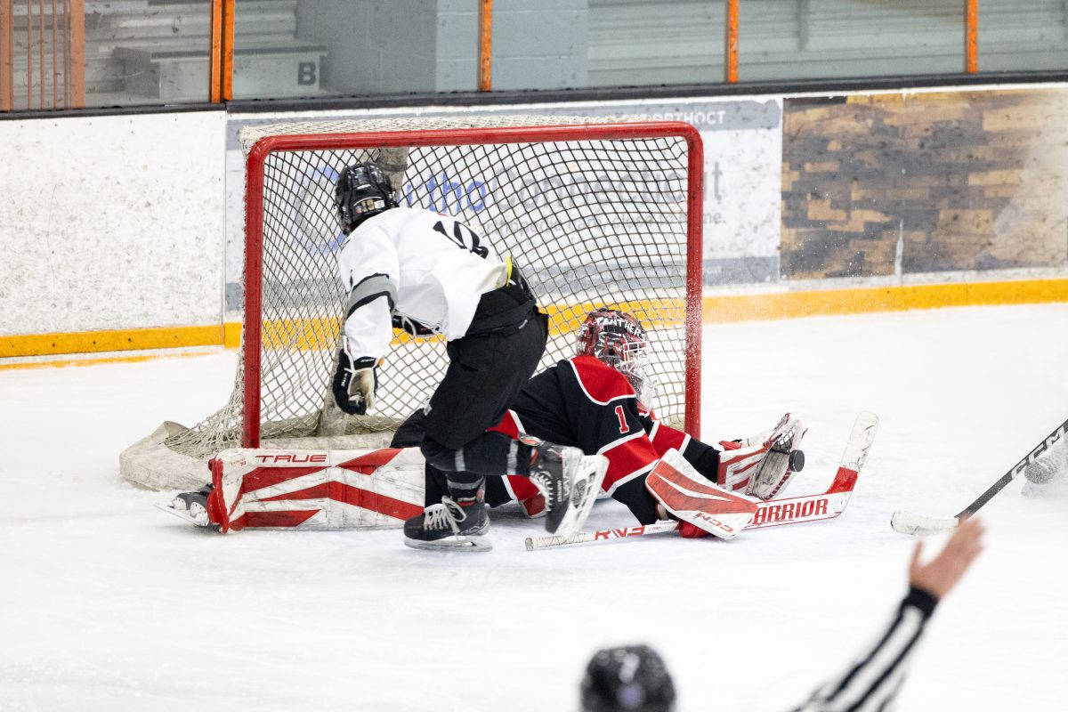 Maddex LaFountain makes a save.